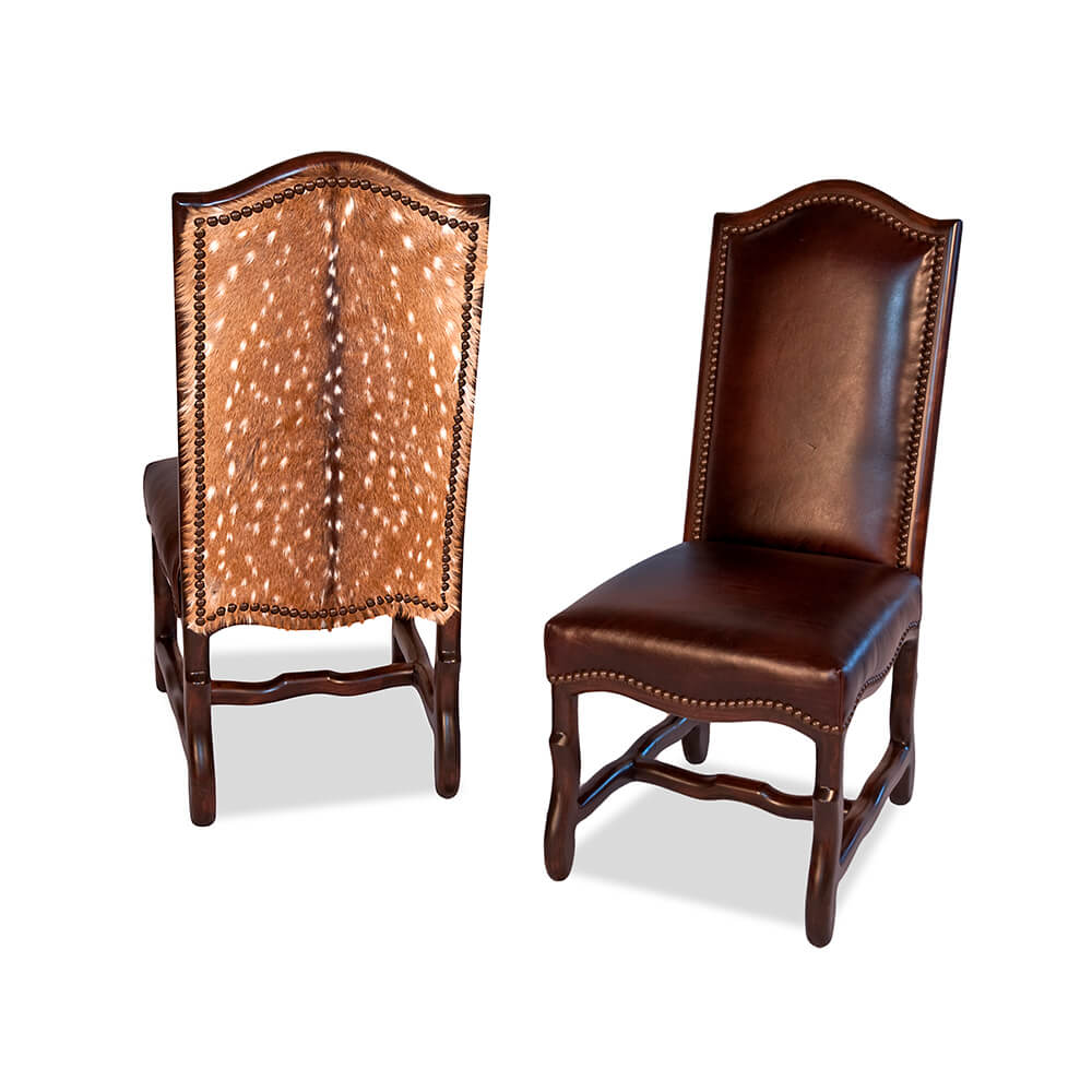 Mount Princeton Dining Chairs - Image 5